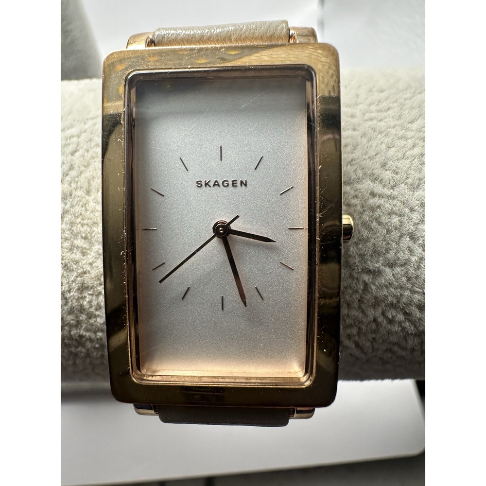 Skagen SKW2503 Ladies Hagen Watch New Battery 22MM 7.5" Leather Band T69